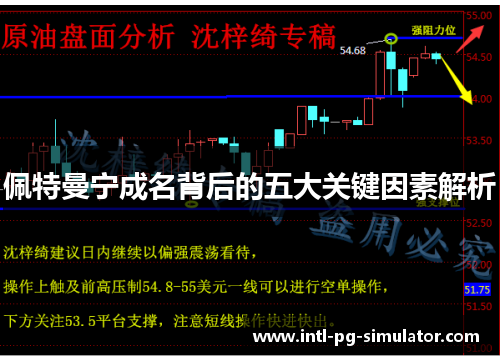 佩特曼宁成名背后的五大关键因素解析