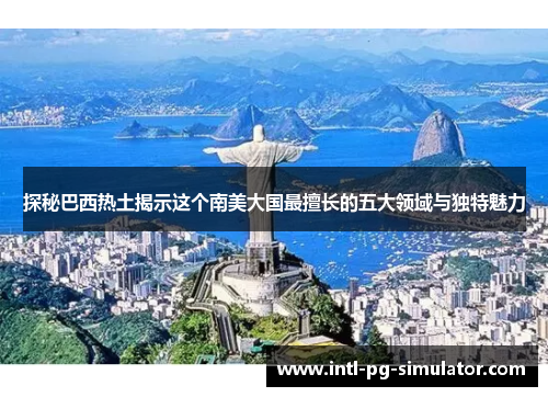 探秘巴西热土揭示这个南美大国最擅长的五大领域与独特魅力