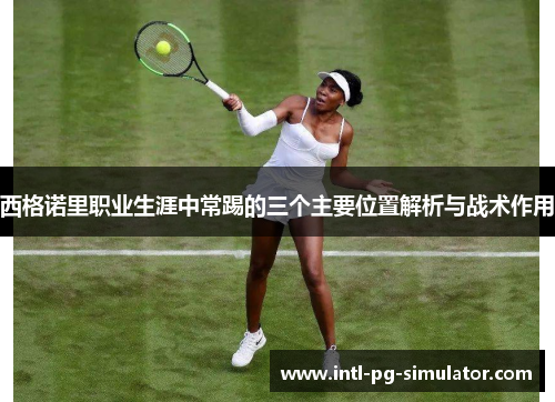 西格诺里职业生涯中常踢的三个主要位置解析与战术作用 西格诺里职业生涯中常踢的三个主要位置解析与战术作用